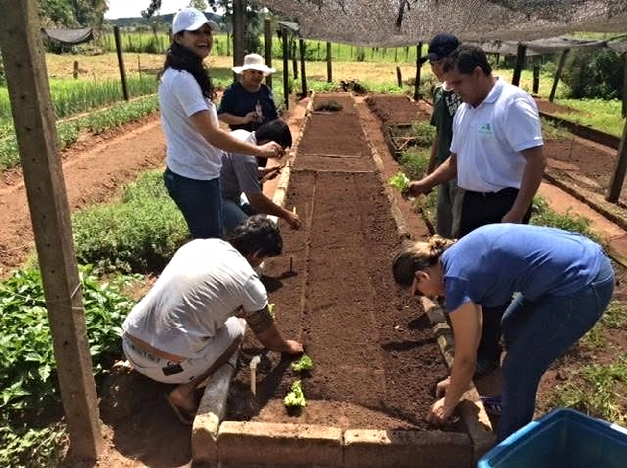 Equipo técnico y productores instalando una parcela de horticultura en cantero.